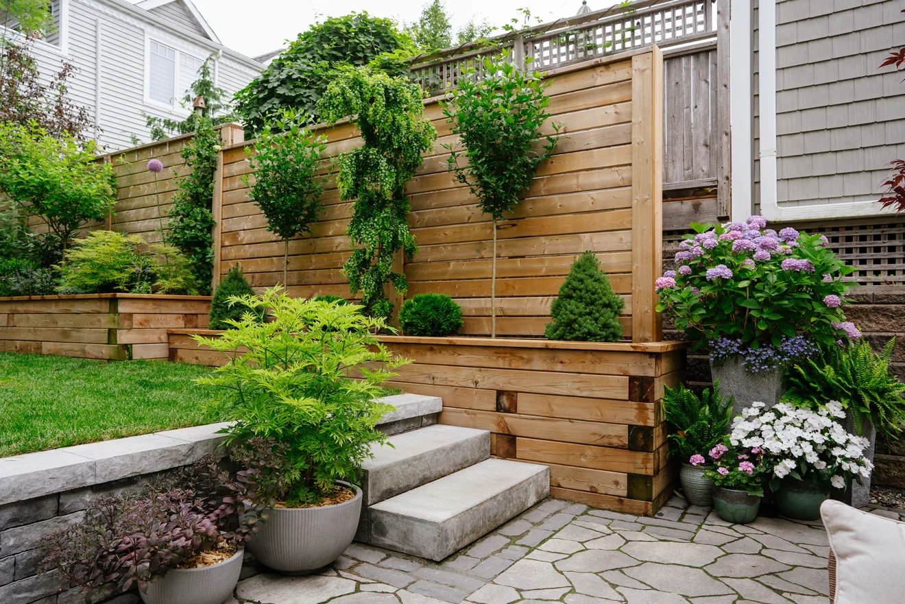 Backyard 1