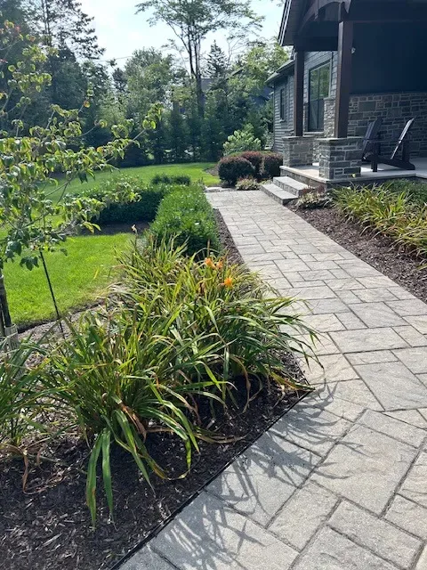 Front Yard 1