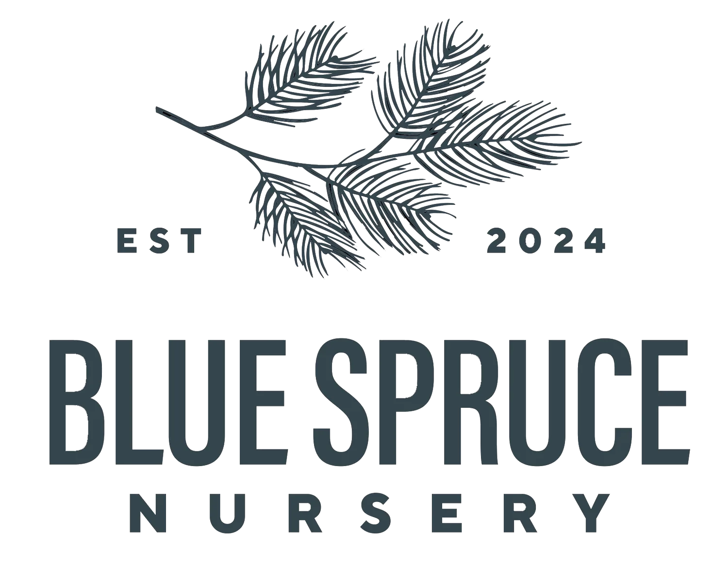 Blue Spruce Nursery